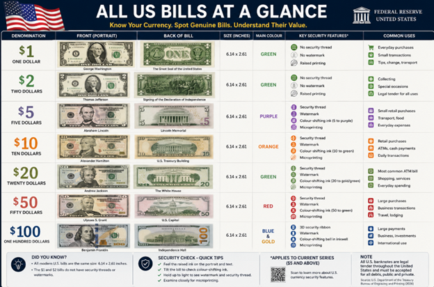 Dollar denominations in USA infographic showing all US bills from $1 to $100